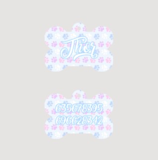 🐶🐾Chapa personalizada para mascota – Doble cara con nombre y teléfono