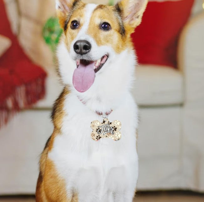 🐶🐾Chapa personalizada para mascota – Doble cara con nombre y teléfono