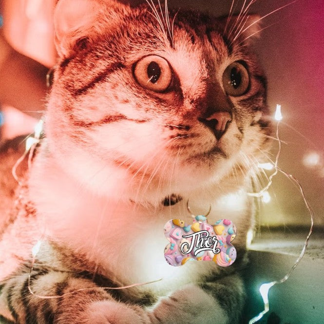 🐶🐾Chapa personalizada para mascota – Doble cara con nombre y teléfono